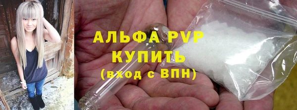 спиды Пересвет