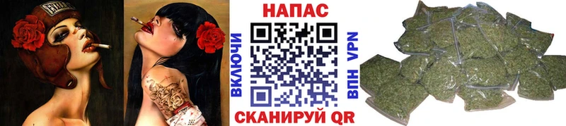 где купить наркотик  Дивногорск  Каннабис индика 